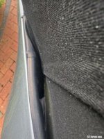 IMG_3529 Medium.jpeg