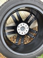 IMG_1979.jpeg