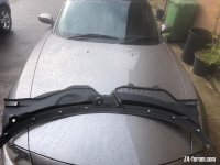 IMG_1901.jpeg