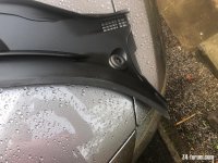 IMG_1900.jpeg