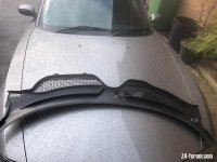 IMG_1895.jpeg