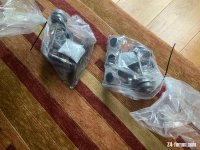IMG_2982.jpeg