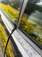 IMG_9222.jpeg