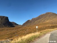 IMG_0203.jpeg