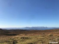 IMG_0208.jpeg