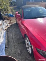 IMG_7321.jpeg