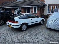 IMG_6209.jpeg