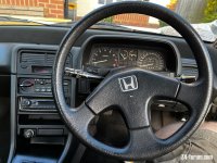 IMG_6229.jpeg