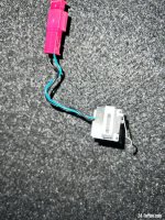 IMG_3458.jpeg