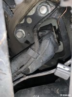 IMG_1833.jpeg