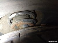 IMG_20241025_101854_757.jpg