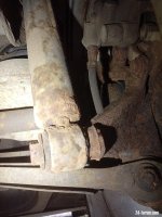 IMG_20241025_101957_187.jpg