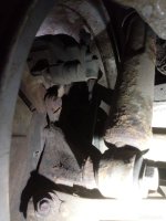 IMG_20241025_102024_053.jpg