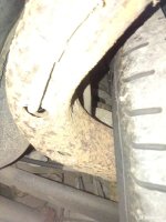 IMG_20241025_102057_561.jpg