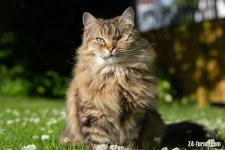 IMG_8350DRP.jpg