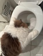 IMG_1061.jpeg