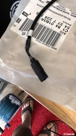 IMG_3252.jpeg