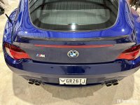 IMG_6367.jpeg