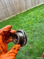 IMG_3389.jpeg