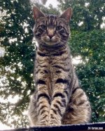 IMG_5373.jpeg