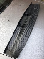 IMG_2913.jpeg