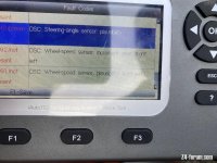 IMG_9127.jpeg