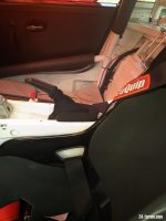 IMG_0177.jpeg