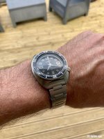 IMG_4009.jpeg