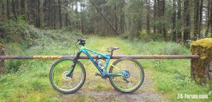 BoardmanFSPro2.jpg