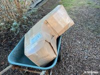IMG_0374.jpeg