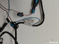 IMG_20241228_091917.jpg