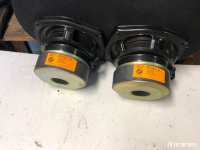 IMG_3498.jpeg