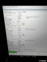 IMG_4557.jpeg