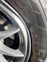IMG_3485.jpeg