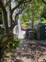 IMG_4810.jpeg
