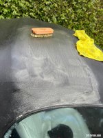 IMG_0801.jpeg
