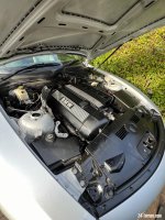 IMG_0810.jpeg