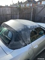 IMG_7530.jpeg