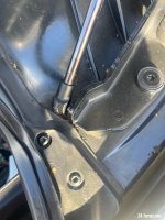 IMG_8727.jpeg