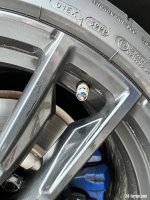 IMG_1800.jpeg