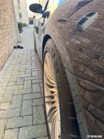 IMG_4222.jpeg