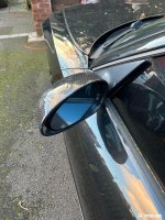 IMG_7899.jpeg