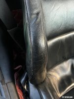 IMG_7896.jpeg