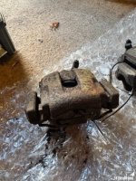 IMG_5053 Medium.jpeg