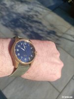 Oris PP.jpg