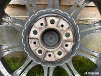 IMG_4431.jpeg