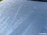 IMG_ (1).jpeg