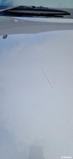 20250329_135451.jpg
