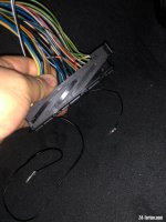 IMG_5187.JPEG