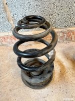 IMG_5326.jpeg